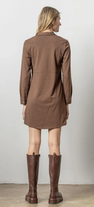 Long Sleeve Seamed Shirt Dress in Java