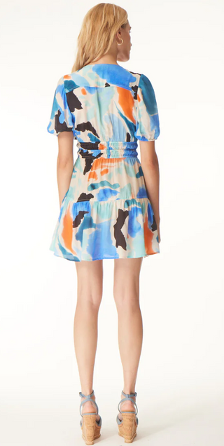 Vanessa Dress in Matisse