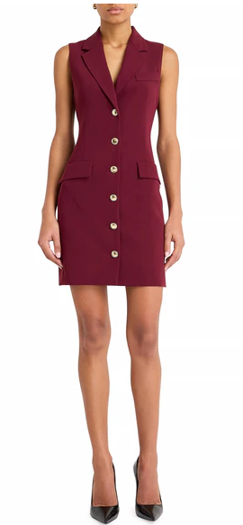 Keanu Mini Dress in Wine