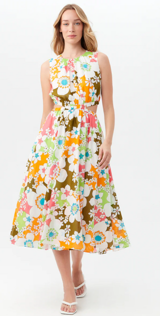 Artimo Dress in Multi