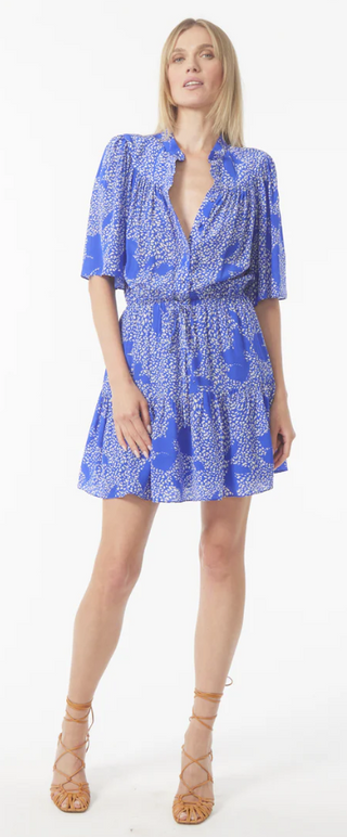 Adelyn Dress in Congo Cobalt
