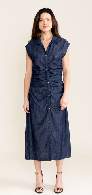 Layna Dress in Denim