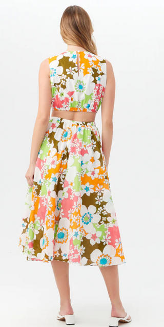 Artimo Dress in Multi
