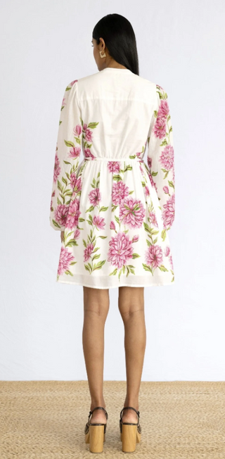 Allegra Dress in Syrath