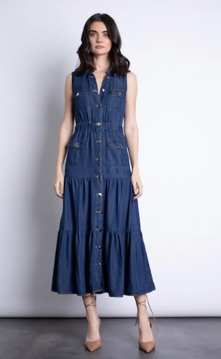 Triana Denim Dress in Blue
