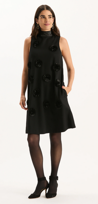 Cleo Ponte Satin Trim Dress in Black