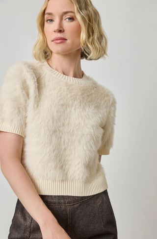 Short Sleeve Brushed Crewneck Sweater in Ivory