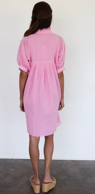 High Neck Dress in Begonia Stripe
