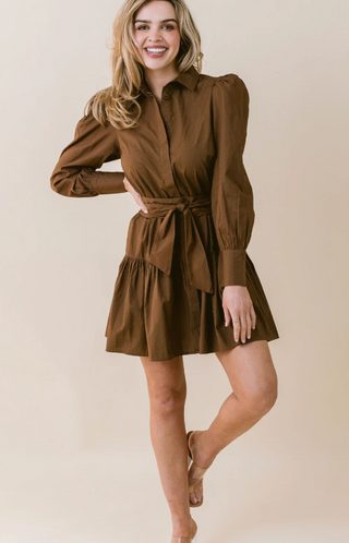 Austin Dress in Mocha