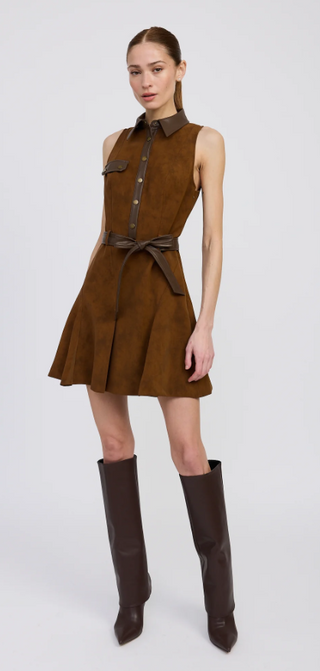 Eloise Mini Dress in Brown