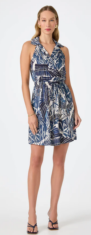 Caribbean 2 Dress in Multi