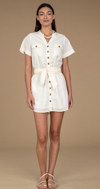 Austin Mini Dress in Pure